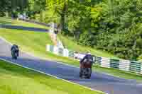 cadwell-no-limits-trackday;cadwell-park;cadwell-park-photographs;cadwell-trackday-photographs;enduro-digital-images;event-digital-images;eventdigitalimages;no-limits-trackdays;peter-wileman-photography;racing-digital-images;trackday-digital-images;trackday-photos